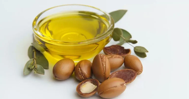 Argan Oil of Morocco