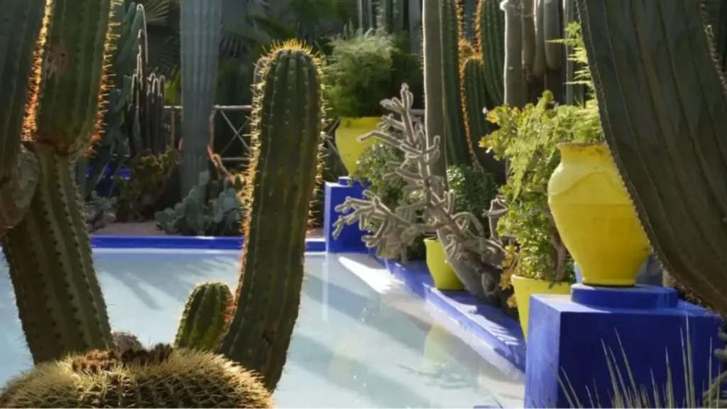 activities to do in marrakech