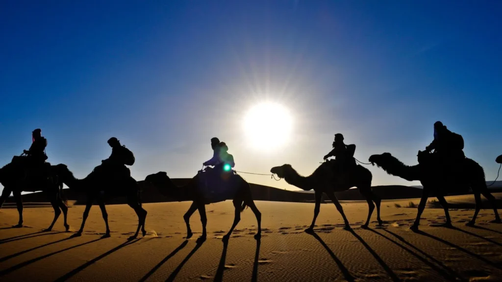 activities to do in marrakech